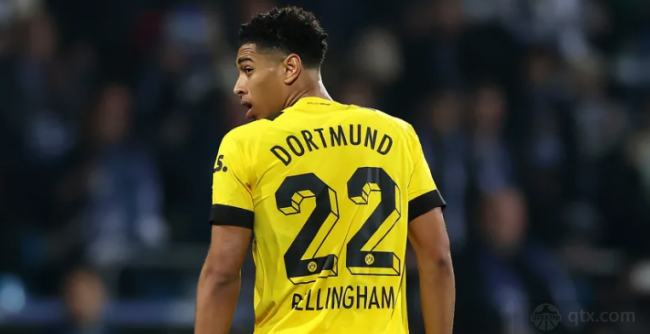 莱阳梨品鉴 莱阳梨品鉴